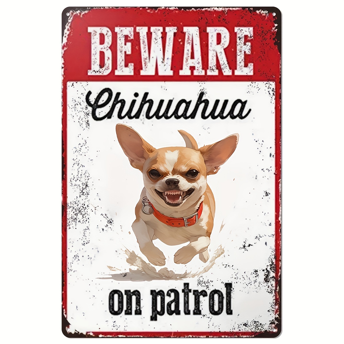Devriye Geçiren Chihuahua'ya D - Home Security Outdoor incelemesi ve fiyatı