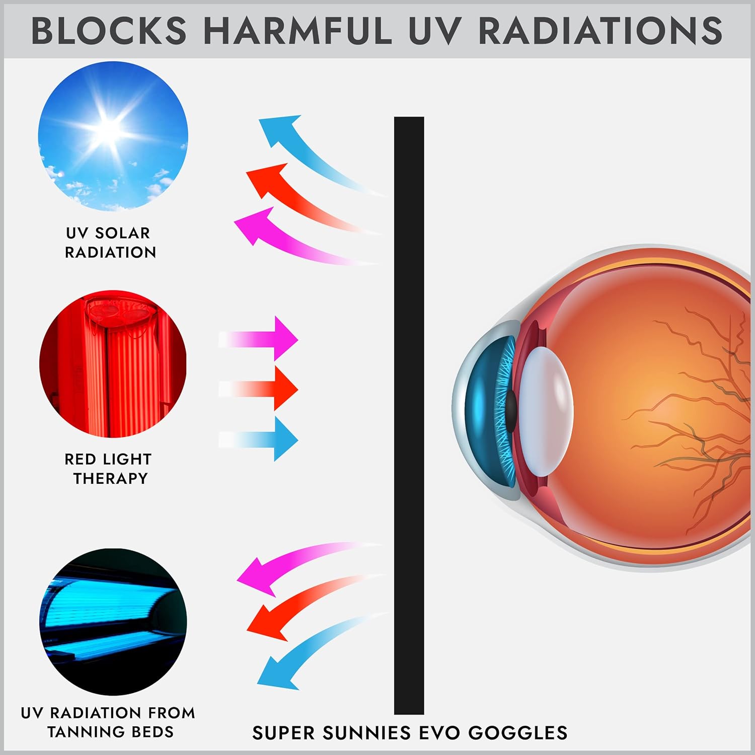 Profesyonel IPL Lazer Güvenlik - Home Security Equipment incelemesi ve fiyatı